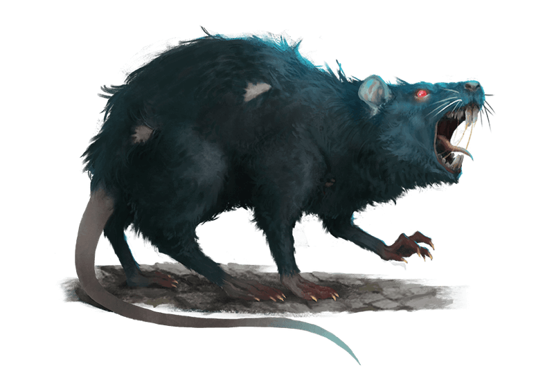 giant rat