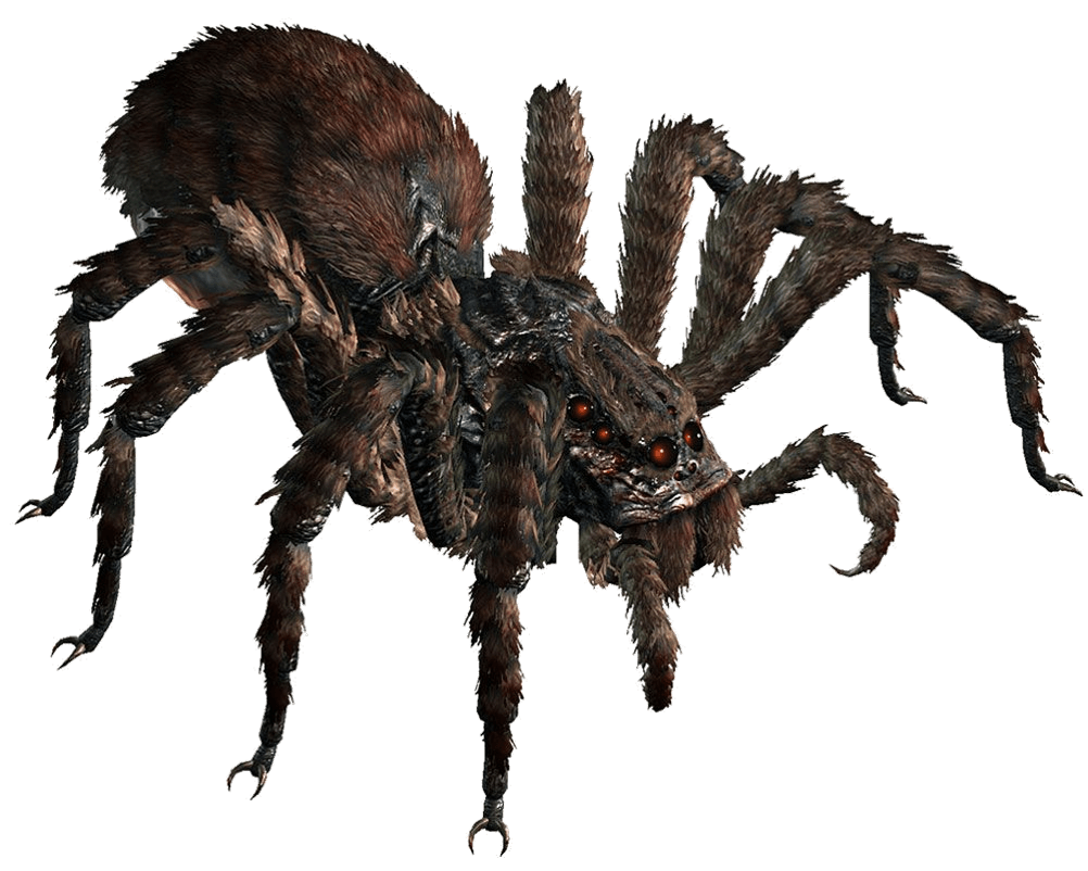 giant spider